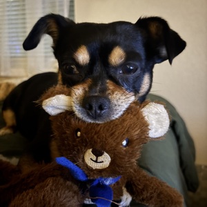 Fundraising Page: Amy Gomez